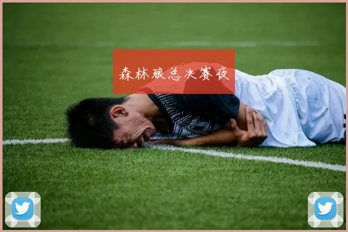 森林狼总决赛夜
