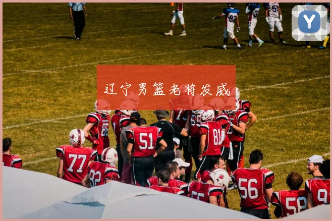 辽宁男篮老将发威