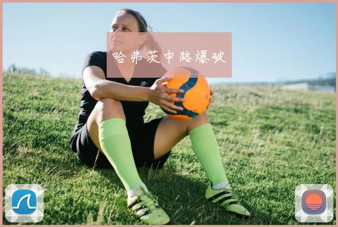 哈弗茨中路爆破