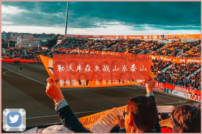 勒沃库森决战山东泰山