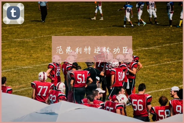 范弗利特逆转功臣