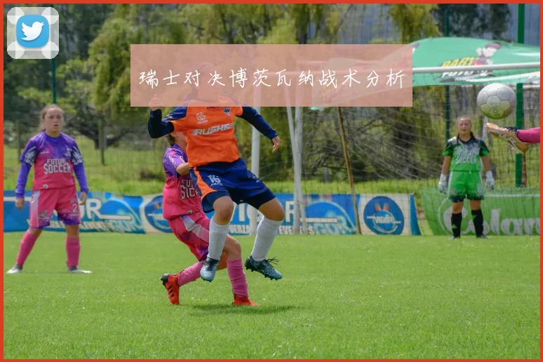 瑞士对决博茨瓦纳战术分析