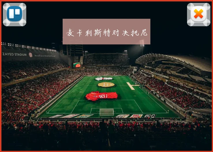 麦卡利斯特对决托尼
