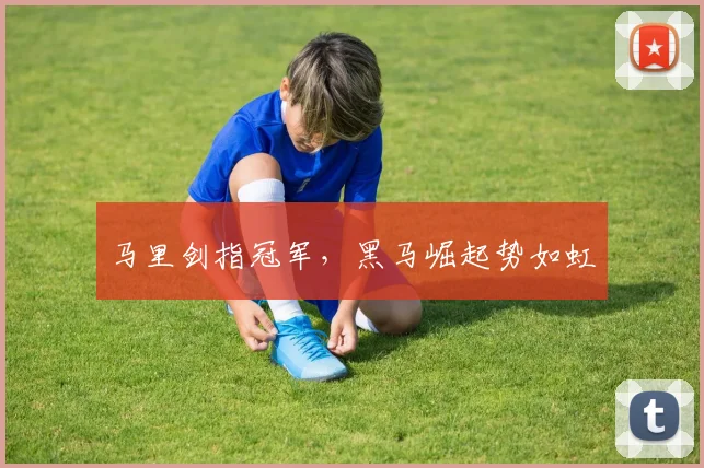 马里剑指冠军，黑马崛起势如虹