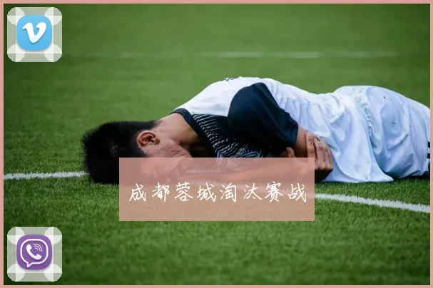 成都蓉城淘汰赛战
