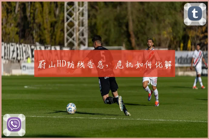 蔚山HD防线告急，危机如何化解