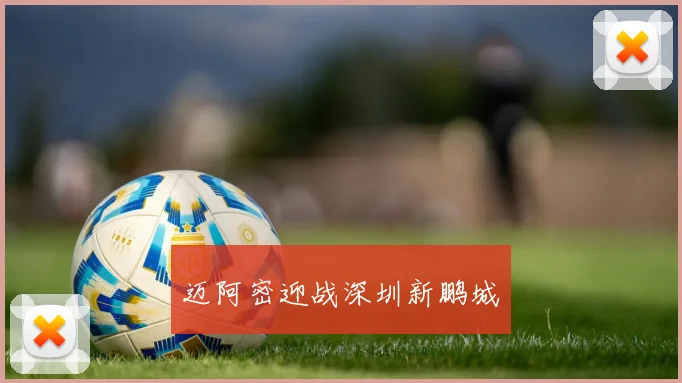 迈阿密迎战深圳新鹏城