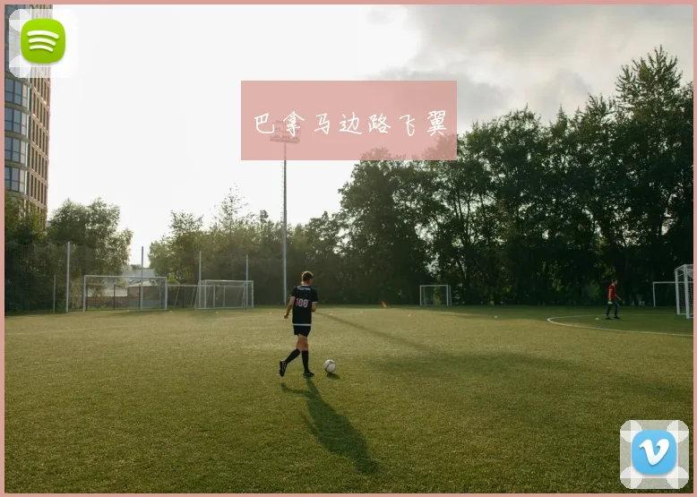 巴拿马边路飞翼