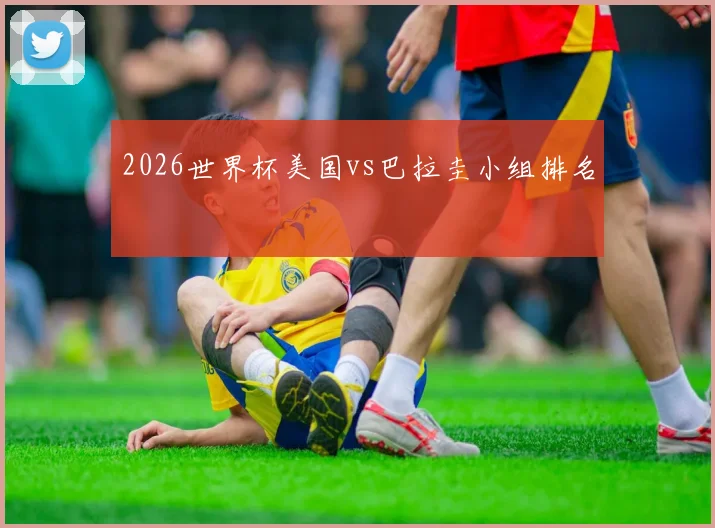 2026世界杯美国vs巴拉圭小组排名