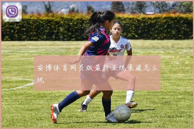 安博体育网页版最新正规渠道怎么玩