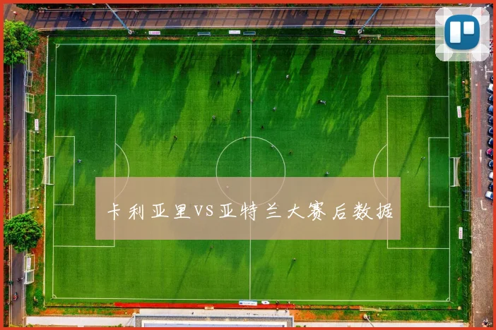 卡利亚里vs亚特兰大赛后数据